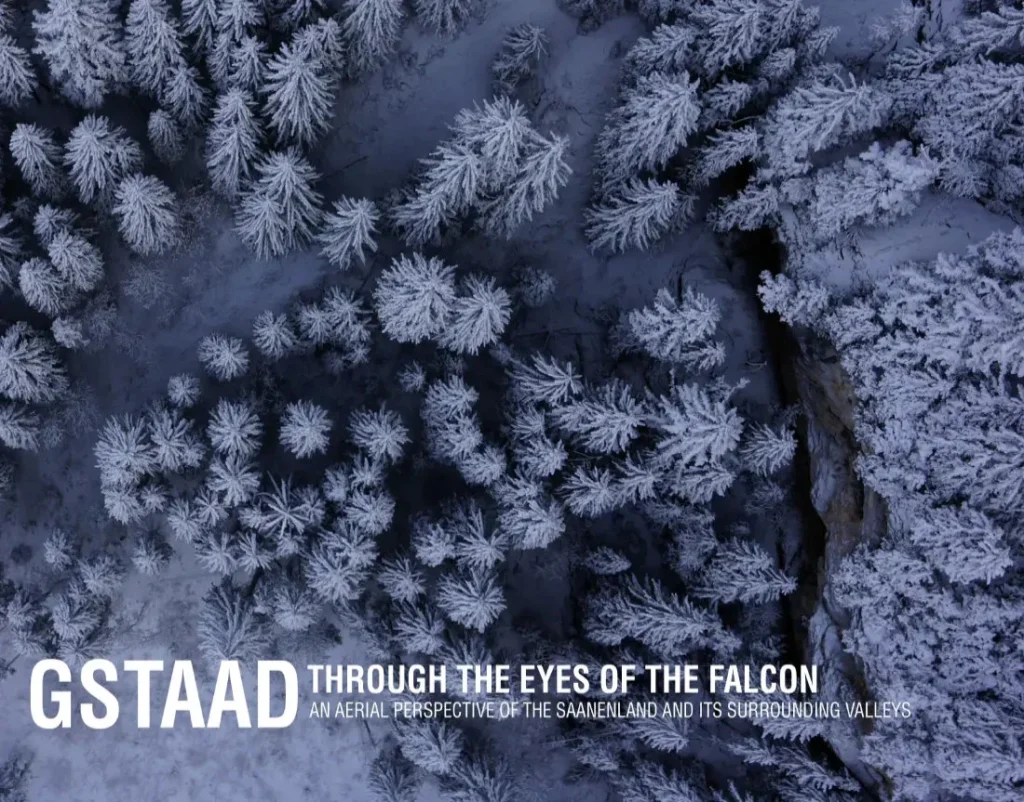 2portada-Suiza-Gastaad